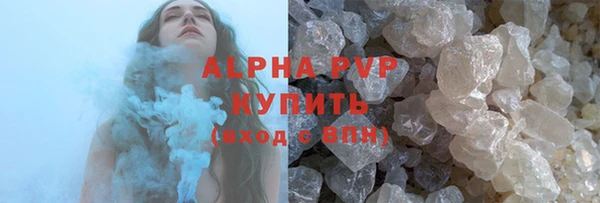 спиды Ладушкин