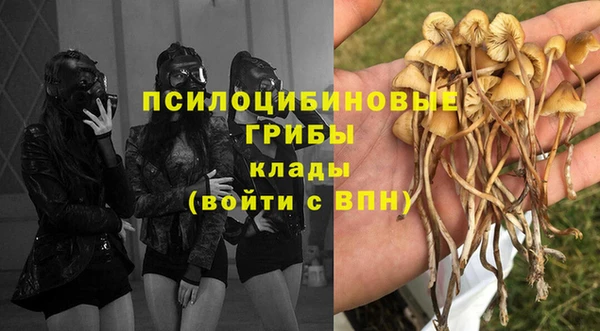 соль курить ск Лагань